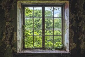 Looking Through Weathered Window at Green Trees in Abandoned House photo