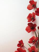 Red Poppy Flowers Arranged Vertically on a Light Colored Background photo
