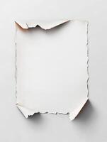 Blank Torn Paper Sheet with Rolled Corners on White Background photo