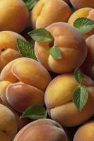 Fresh Apricots Still Life with Mint Leaves Close Up Arrangement photo