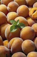 Ripe Apricots and Fresh Mint Leaves Filling Frame for Healthy Eating photo