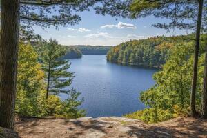 Scenic Lake View Framed by Autumn Trees Under a Blue Sky photo