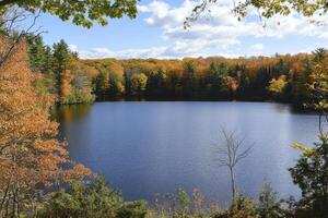 Calm Lake Surrounded by Autumn Trees Under Cloudy Sky photo