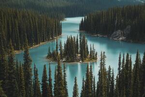 Turquoise Lake View with Forest and Island in a Remote Wilderness photo