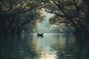 Floating Boat on Serene Lake Surrounded by Lush Green Forest Trees photo