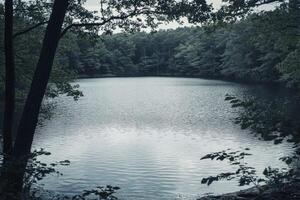Calm Lake Surrounded by Forest Trees on an Overcast Day photo