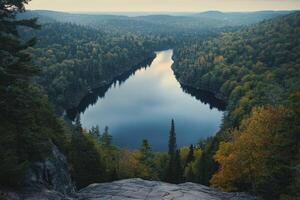 Overlooking Serene Lake Surrounded by Dense Forest in Autumn Landscape photo