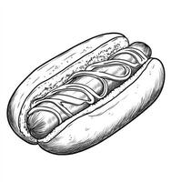 Hotdog Illustration with Mustard Topping in a Fresh Bun Sketch photo