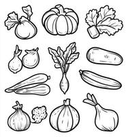 Assorted Vegetables Outlined Design Elements for Healthy Eating Concepts photo