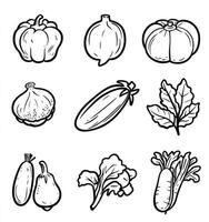 Line Art Vegetables Graphic Set with Pumpkin Onion Eggplant and Lettuce photo