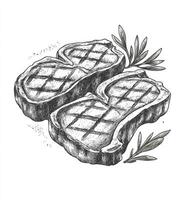 Grilled Steak Sketch Two Delicious Cuts of Meat with Rosemary Sprigs photo