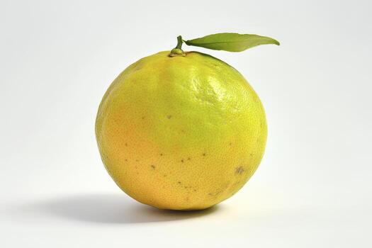 Fresh Citrus Fruit Still Life with Leaf on a White Background photo