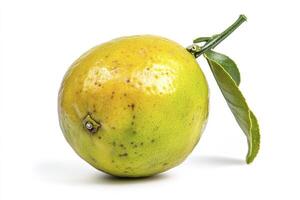Fresh Citrus Fruit with Leaf Isolated on White Background Close Up photo