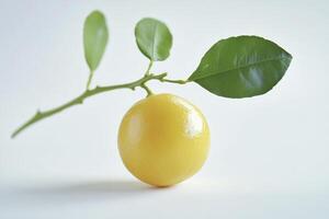 Fresh Lemon on Branch with Green Leaves on Light Background photo