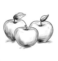 Apple Drawing with Hatching Shading Technique with Three Apples photo