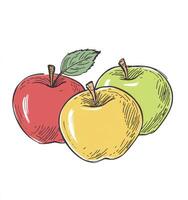 Illustration of Three Apples in Different Colors with Leaf photo