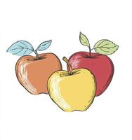 Colorful Apple Still Life Art with Hand Drawn Style Illustration photo