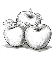 Illustration of Three Apples with Leaves in Black and White Style photo