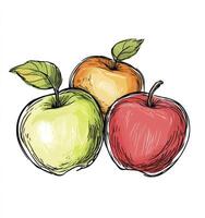 Colorful Apple Illustration with Sketch Style for Food and Design photo