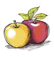 Colorful Apple Drawing with Yellow and Red Fruit Illustration photo