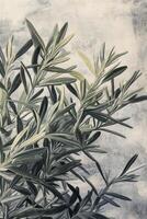 Olive Branch Illustration with Abstract Background for Botanical Art Prints photo