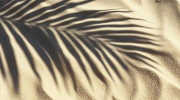 Palm Leaf Shadow Casting on Sand Creating Tropical Summer Beach Vibe photo