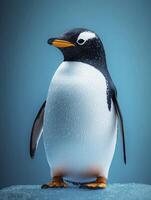 Gentoo Penguin Standing on Ice Looking Left in Studio Setting photo