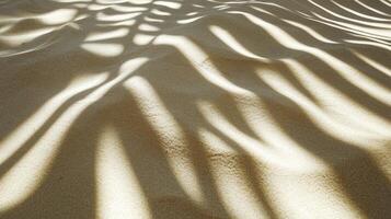 Sand Dune with Palm Frond Shadows Creating Beautiful Abstract Patterns photo