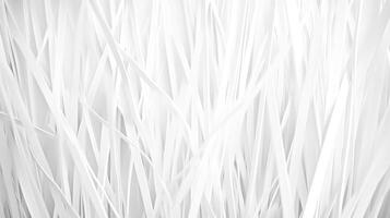 Abstract Paper Strips Background with Clean White Lines and Overlapping Shapes photo