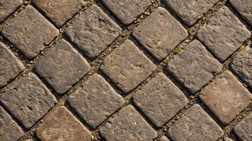 A close up of a cobblestone walkway photo
