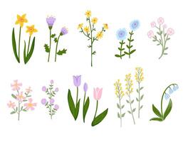 Illustration of various wildflowers and spring blossoms in pastel colors. A beautiful botanical collection perfect for decorations, patterns, and design vector