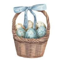 Easter egg basket in watercolor vintage style. Blue ribbon and speckled quail egg. Spotted egg with bow. Hand drawn illustration. Ideal for card invitation design. Cute design for springtime hunt. vector