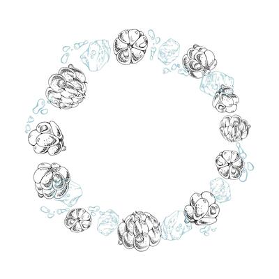 Cloudberry raspberry flying in water waves splashes drops, hand drawn ink, ripe line forest berry, ice cubes. Wreath circle frame illustration. Restaurant cafe menu, farmers market, juice bar