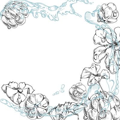 Cloudberry raspberry flying in wave water splashes with drops, hand drawn ink, ripe line forest berry and leaves. Square frame illustration for restaurant, cafe menu, wedding, farmers market