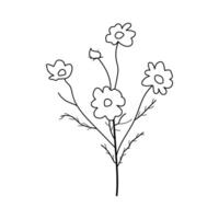 Chamomile flower icon isolated on white background. illustration. vector