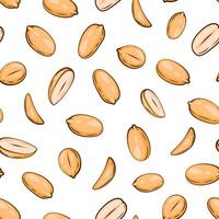 Nuts seamless pattern design. Peanut background. Organic food concept. Nuts pattern for fabric, packaging, coffee and bakery shops. Hand Drawn illustration vector