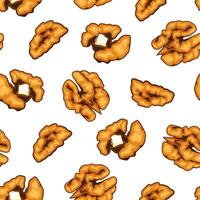 Nuts seamless pattern on white. Walnuts background. Organic food concept. Nuts pattern for fabric, packaging, coffee and bakery shops. Hand Drawn illustration. vector