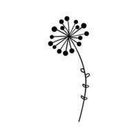 Dandelion flower icon. Flat illustration of dandelion flower icon for web design vector