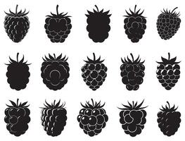 RASPBERRY SILHOUETTE WHITE BACKGROUND vector