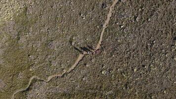 Aerial shot of hikers climbing a narrow mountain path video