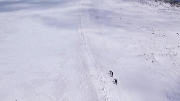 Aerial view of climbers navigating a snowy path on Mount Elbrus video