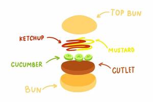 A diagram of a hamburger with different ingredients vector