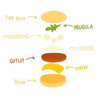 A diagram of a hamburger with the words bun, cheese, meat, and sauce vector