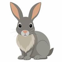 cute bunny .Colorful illustration rabbit.Greeting card Happy Easter for decorative, banner, poster. illustration on white background vector