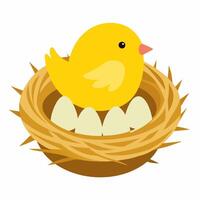 Bird nest with a yellow bird and eggs inside. illustration on white background vector