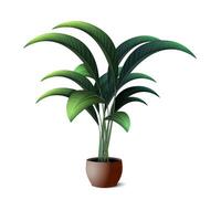 A tropical plant with green succulent leaves in a round pot with shade on a white background vector