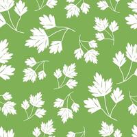 Seamless pattern white leaves parsley on green vector