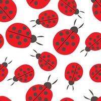 Seamless pattern insects ladybugs on white vector