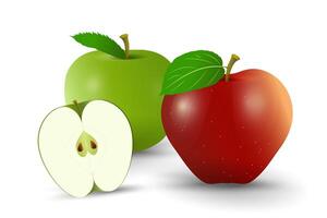 Two fresh red and green apples with one half sliced green apple in smooth surface and a single green leaf attached to its. Group of juicy apples, realistic 3d vector