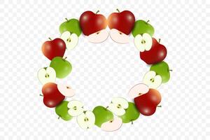 A circle of fresh red, green apples accompanied by group of apples slices revealing their crisp white interiors and seeds. fruits banner concepts vector
